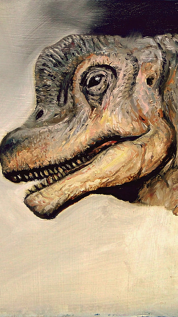 Animal, Dinosaur HD phone wallpaper