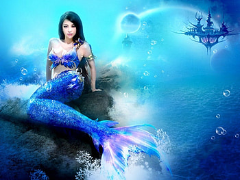 reino_marino, amit, omdave, matu, hrdave HD wallpaper