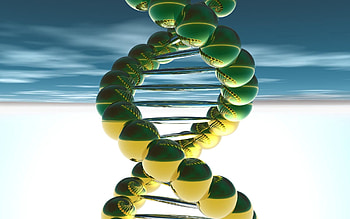 3D, Thread, Spiral, Balls, Compound, Cell, Cage HD wallpaper