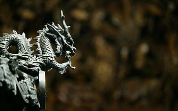 Background, Miscellanea, Miscellaneous, Stone, Dragon HD wallpaper