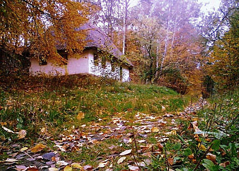 Country House, woods, rural, trees, autumn leaves, cottage, grass, country HD wallpaper