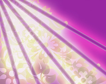 Purple sunshine, purple, flowers HD wallpaper
