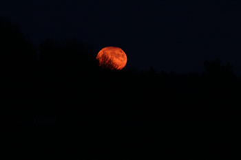 Moonrise, space, rise, moon, supermoon HD wallpaper