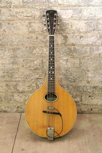 Mandola music, Instruments, Rory Gallagher, Official site HD phone wallpaper