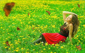 lady, model, graphy, beauty HD wallpaper