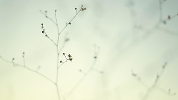 -Minimalist- HD wallpaper