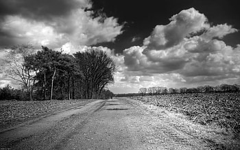 the way that leads to, clouds, road, tree HD wallpaper