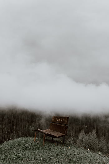 A solitary wooden bench on a hilltop amidst thick fog and forest. Serene and tranquil landscape. HD phone wallpaper