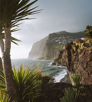 Explore the rugged and lush Madeira coastline featuring dramatic cliffs and thriving vegetation. HD phone wallpaper