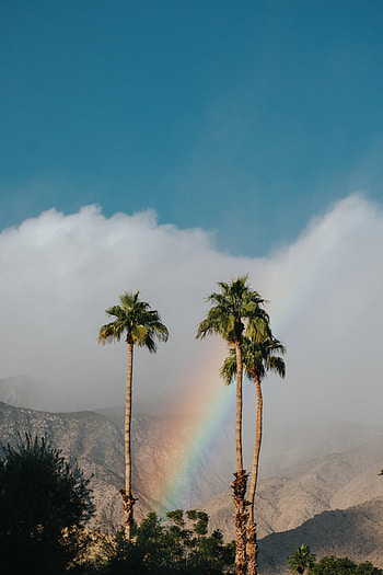 Landscape, Nature, Mountains, Palms, Rainbow, Cloud HD phone wallpaper