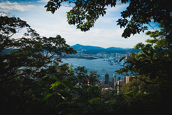 Cities, Water, Mountains, City, Building, Branches HD wallpaper