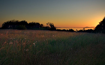 Nature, Sunset, Grass, Sky, Evening, Meadow HD wallpaper