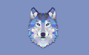 Geometric Animal, Geometric animal wolf , Top geometric wolf backgrounds, Animal art HD wallpaper