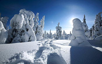 Winter Wonderland V, winter, horizon, footsteps, wonderful, nice, snow, trees, amazing, sun, stunning, hills, frost, beautiful, way, pretty, clouds, nature, sky, ice HD wallpaper