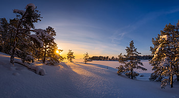 Snow in Finland, trees, winter, sunrise, snow HD wallpaper