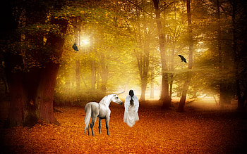 Unicorn and friends in the autumnal forest, Twigs, Leaves, Forest, Trees, Horse, Unicorn, Human, Birds, Branches HD wallpaper