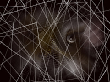 theGnutoduck, abstract, crazy, dark, hand HD wallpaper