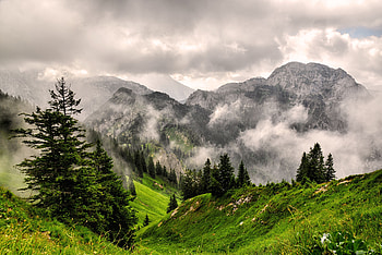 Nature, Grass, Mountains, Vertex, Forest, Fog, Tops HD wallpaper