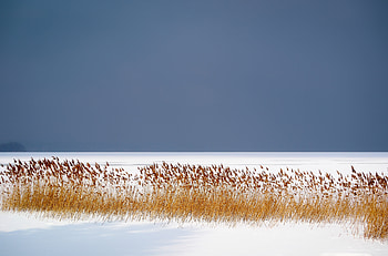Winter Lake Frozen , lake, frozen, winter HD wallpaper