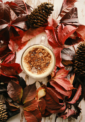Food, Leaves, Cones, Coffee, Cup HD phone wallpaper