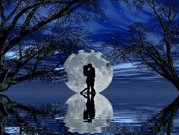 LOVERS MOON, night, blue, reflection, moon, trees, sky, stars, lovers HD wallpaper