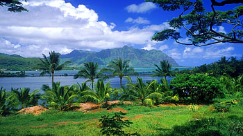 Kaneohe Fish Pond Hawaii, clouds, landscape, sky, water, mountain, palm trees HD wallpaper