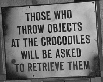 DON'T THROW OBJECTS, THEM, OBJECTS, CROCODILES, RETRIEVE HD wallpaper