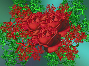 Red roses, roses, red HD wallpaper