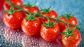Food, Cherry, Drops, Tomatoes, Twig, Sprig HD wallpaper