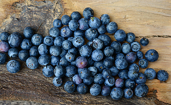 Food, Bilberries, Berries, Ripe HD wallpaper