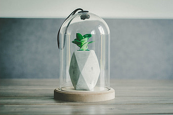 Bank, Flower, Miscellanea, Miscellaneous, Form, Jar, Flask HD wallpaper