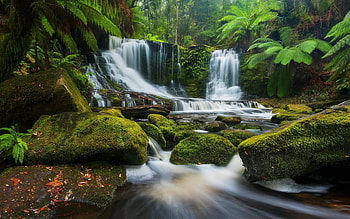 Waterfall in Australia, palms, national park, moss, Australia, waterfall, rocks HD wallpaper