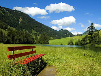 Bench In Country Field, bench, green, fields, sky, nature, grass HD wallpaper