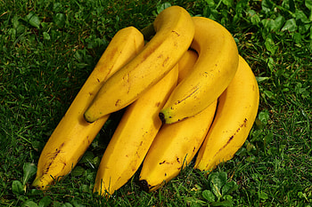 Fruits, Food, Grass, Bananas, Ripe HD wallpaper