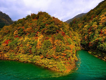 Hillside, slope, japan, nature, lake, mountain HD wallpaper