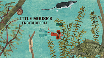 Little Mouse Encyclopedia , videogame, Indiegame, RedDeerGames, indie game, Red Deer Games, LME, Animals, Gameart, Game Art, Kids, video game, Art, Children, LittleMousesEncyclopedia, gaming HD wallpaper