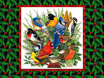 Birds, winter, animal, bird, snow, christmas, red, cardinal HD wallpaper