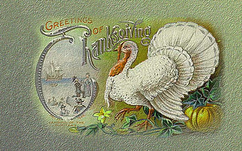 vintage postcard, white, Thanksgiving, postcard, turkey HD wallpaper