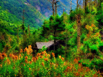 Hidden among the trees, among, peaks, house, hidden, beautiful, mountain, green, trees, view, nature, flowers HD wallpaper