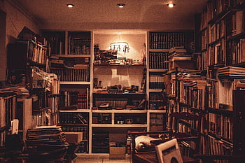 A warmly lit home library filled with a diverse collection of books and a cozy atmosphere. HD wallpaper