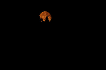 rising moon, night, space, nature, Moon HD wallpaper