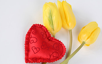 Love, Heart, Tulip HD wallpaper