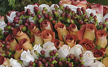 Flowers, Roses, Cream, Composition HD wallpaper