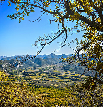 Landscape, Nature, Vertex, Branch, Hills, Tops HD phone wallpaper