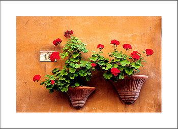 flower pots, summer, geranium, flower, red, pots HD wallpaper