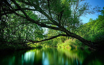 Landscape, Rivers, Trees HD wallpaper