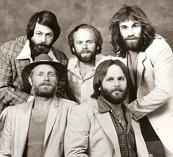 The Beach Boys, Brian Wilson, Dennis Wilson, American Bands HD wallpaper
