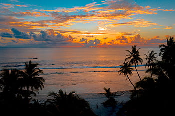 A stunning tropical sunset over a tranquil ocean with silhouetted palm trees. HD wallpaper