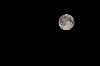 Night, Moon, Dark, Black Background HD wallpaper