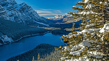 Landscape View Of River Between Green Trees With Snow Mountains Background Under Blue Sky Winter HD wallpaper